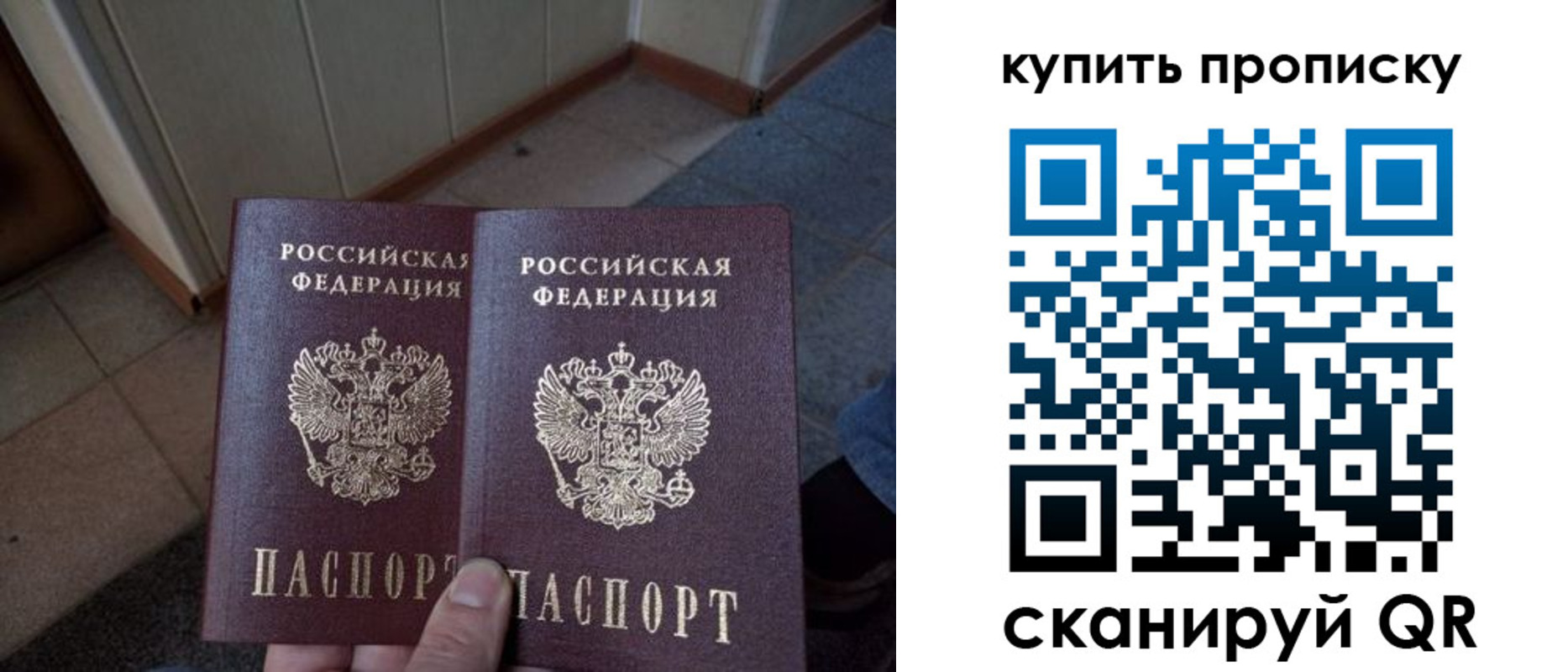 купить прописку в Вологодской области